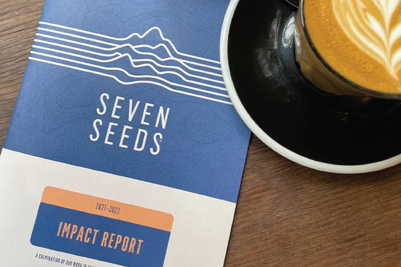 seven seeds coffee in a cup
