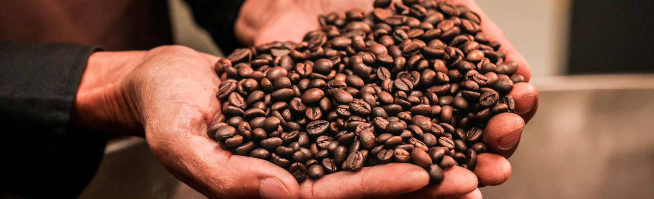 specialty coffee beans