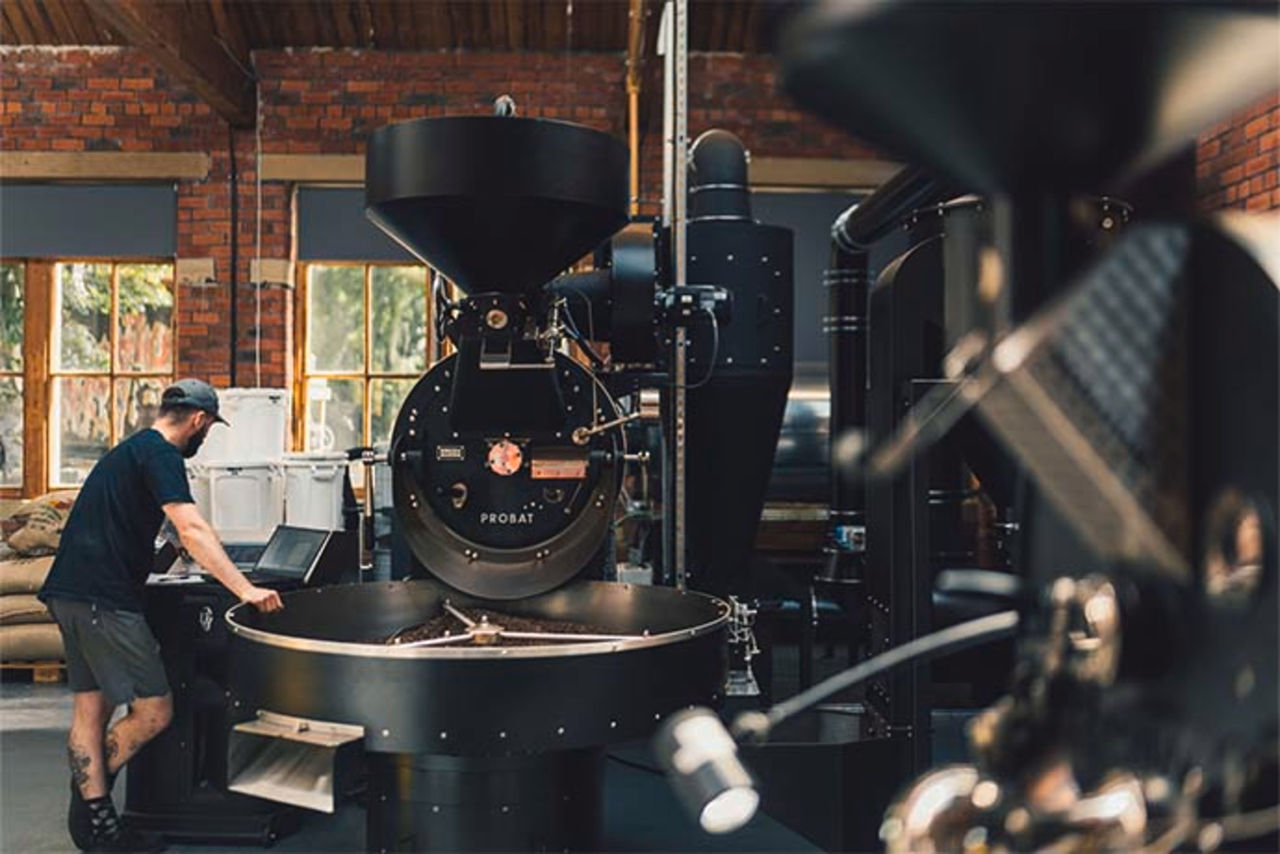A staff member regulates a PROBAT coffee roaster machine.