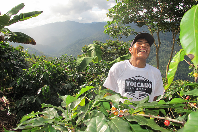 coffee grower in farm